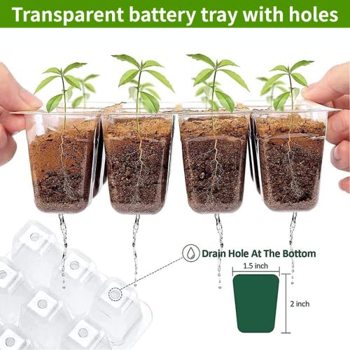 Seed Starter Tray, 5-Pack Seed Starter Tray with Grow Light, Seedling Starter Trays, Seed Starting Trays, Seed Starter Kit, Plant Starter Kit, Timer, Humidity Dome, Dimmable. (Green)