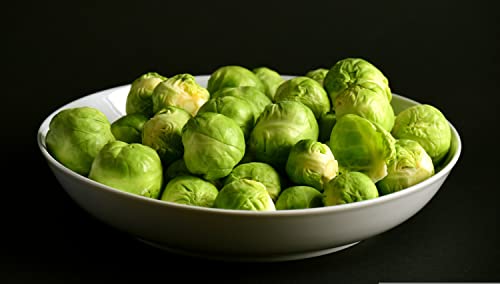 TKE Farms - Brussel Sprout Seeds for Planting, Long Island Improved, 3 Grams ≈ 750 Seeds, Brassica oleracea VAR. gemmifera