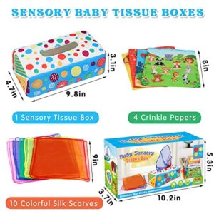 Aiduy Baby Toys 6 to 12 Months - Montessori Toys for Babies 6-12 Months - Infant Newborn Toddlers Sensory Toys Baby Magic Tissue Box for 1 Year Old Boys Girls Kids Early Learning Toys Baby Gifts