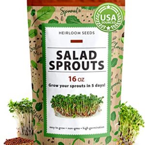 Sprouts and Microgreens Seeds Bulk Mix (16oz): Broccoli, Alfalfa, Radish, Clover Seeds for Sprouting - Grow Healthy Non-GMO Micro Greens - Sprout Seeds Variety Pack - Even Spread of Varieties