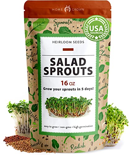 Sprouts and Microgreens Seeds Bulk Mix (16oz): Broccoli, Alfalfa, Radish, Clover Seeds for Sprouting - Grow Healthy Non-GMO Micro Greens - Sprout Seeds Variety Pack - Even Spread of Varieties