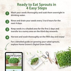 Sprouts and Microgreens Seeds Bulk Mix (16oz): Broccoli, Alfalfa, Radish, Clover Seeds for Sprouting - Grow Healthy Non-GMO Micro Greens - Sprout Seeds Variety Pack - Even Spread of Varieties