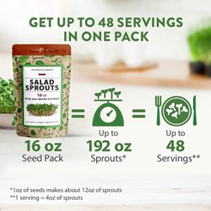 Sprouts and Microgreens Seeds Bulk Mix (16oz): Broccoli, Alfalfa, Radish, Clover Seeds for Sprouting - Grow Healthy Non-GMO Micro Greens - Sprout Seeds Variety Pack - Even Spread of Varieties