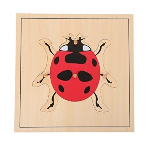 LEADER JOY Montessori Nature Materials Ladybug Puzzle for Early Preschool Learning Toy