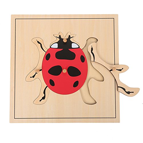 LEADER JOY Montessori Nature Materials Ladybug Puzzle for Early Preschool Learning Toy