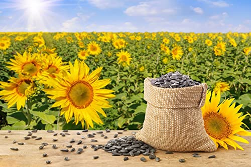 1000+ Sunflower Seeds for Planting Heirloom Non-GMO, Bulk Package of 15 Varieties Mix Seeds, Individually Packaged, Attracts Pollinators