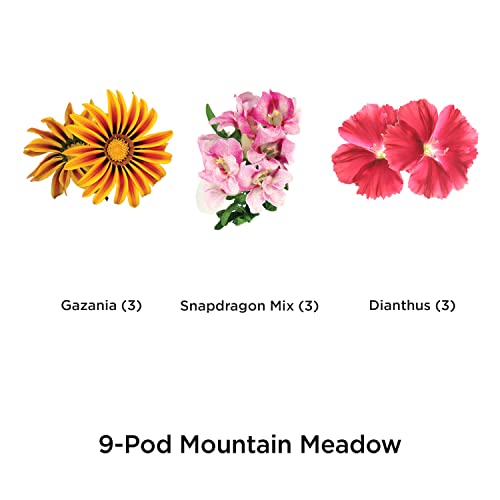 AeroGarden Mountain Meadows Flower Seed Pod Kit (9-pod), Pink/Yellow