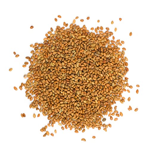 USDA Organic Alfalfa Sprouting Seeds | 1 Pound | Perfect for Sprouting & Microgreens, Premium Alfalfa Sprout Seeds, Non-GMO