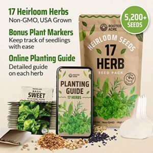 17 Herb Culinary Seed Vault - 5200+ Herbs Seeds for Planting Indoor or Outdoor Garden - Heirloom, Non GMO | Hydroponic Herb Garden Seeds with High Germination | Cilantro, Mint, Chives, Basil, Parsley