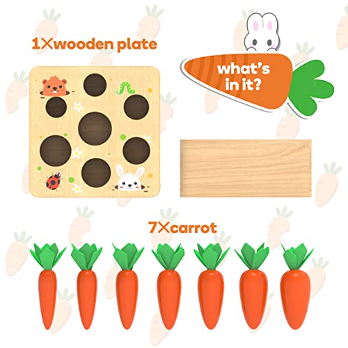 XPIY Montessori Toys for Babies 6-12 Months, Educational Shape Sorting Toys for Toddler Fine Motor Skill Development, Carrots Harvest Wooden Puzzle, Gift for Kids First Birthday