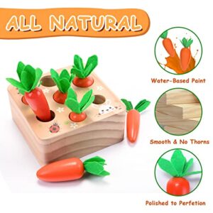 XPIY Montessori Toys for Babies 6-12 Months, Educational Shape Sorting Toys for Toddler Fine Motor Skill Development, Carrots Harvest Wooden Puzzle, Gift for Kids First Birthday