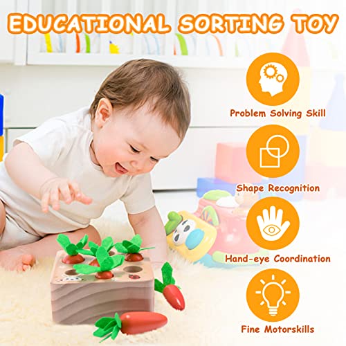 XPIY Montessori Toys for Babies 6-12 Months, Educational Shape Sorting Toys for Toddler Fine Motor Skill Development, Carrots Harvest Wooden Puzzle, Gift for Kids First Birthday