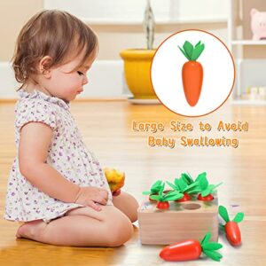 XPIY Montessori Toys for Babies 6-12 Months, Educational Shape Sorting Toys for Toddler Fine Motor Skill Development, Carrots Harvest Wooden Puzzle, Gift for Kids First Birthday