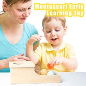 Montessori Object Permanence Box Quiet Sound Wooden Color Ball Drop Play for 6 Month 1 2 3 Year Old Toddlers Early Education Tool