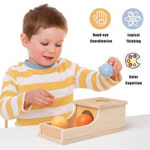 Montessori Object Permanence Box Quiet Sound Wooden Color Ball Drop Play for 6 Month 1 2 3 Year Old Toddlers Early Education Tool