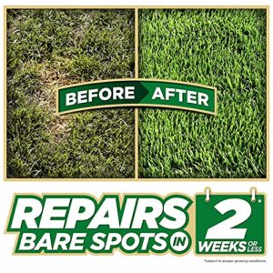 One Step Complete Tall Fescue 5lb. Grass Seed + Mulch + Fertilizer for Patch Repair