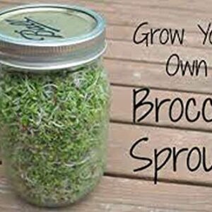 Broccoli Seeds for Sprouting Sprouts Microgreens (8 oz of Pure Seed. Country Creek LLC. Brand.