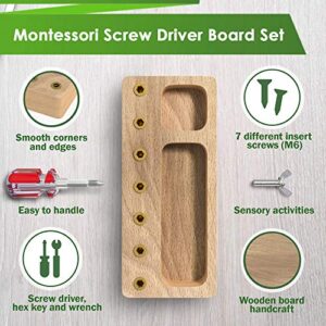 Panda Brothers Montessori Screwdriver Board Set - Wooden Montessori Toys for 3 4 5 Year Old Kids and Toddlers, Learning Sensory Bin Toys Preschool Materials, Fine Motor Skills Toys, Waldorf STEM Toys