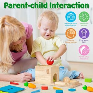 5-in-1 Wooden Play Kit Montessori Toy - Object Permanence Box, Coin Box, Carrot Harvest, Catch Worm, Shape Sorter - Toddler Learning Toy for Kid Age 1, 2, 3 Year Old, Girl boy Gift for Baby 6-12 Month