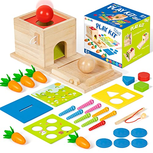 5-in-1 Wooden Play Kit Montessori Toy - Object Permanence Box, Coin Box, Carrot Harvest, Catch Worm, Shape Sorter - Toddler Learning Toy for Kid Age 1, 2, 3 Year Old, Girl boy Gift for Baby 6-12 Month