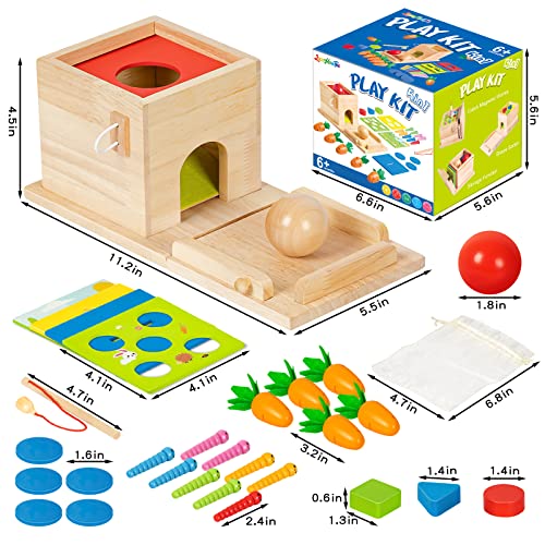 5-in-1 Wooden Play Kit Montessori Toy - Object Permanence Box, Coin Box, Carrot Harvest, Catch Worm, Shape Sorter - Toddler Learning Toy for Kid Age 1, 2, 3 Year Old, Girl boy Gift for Baby 6-12 Month