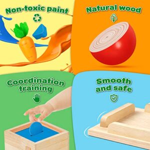 5-in-1 Wooden Play Kit Montessori Toy - Object Permanence Box, Coin Box, Carrot Harvest, Catch Worm, Shape Sorter - Toddler Learning Toy for Kid Age 1, 2, 3 Year Old, Girl boy Gift for Baby 6-12 Month