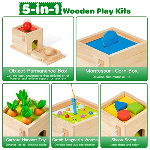 5-in-1 Wooden Play Kit Montessori Toy - Object Permanence Box, Coin Box, Carrot Harvest, Catch Worm, Shape Sorter - Toddler Learning Toy for Kid Age 1, 2, 3 Year Old, Girl boy Gift for Baby 6-12 Month