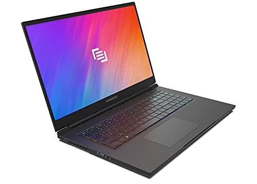 MAINGEAR Vector Pro (2021) 17.3 inch RTX 3080 Gaming Laptop, Intel Core i7 11800H Processor, NVIDIA GeForce RTX 3080 16GB GPU, 17.3 inch 165Hz QHD Display, 32GB DDR4 RAM, 1TB NVMe SSD, Windows 10 Pro