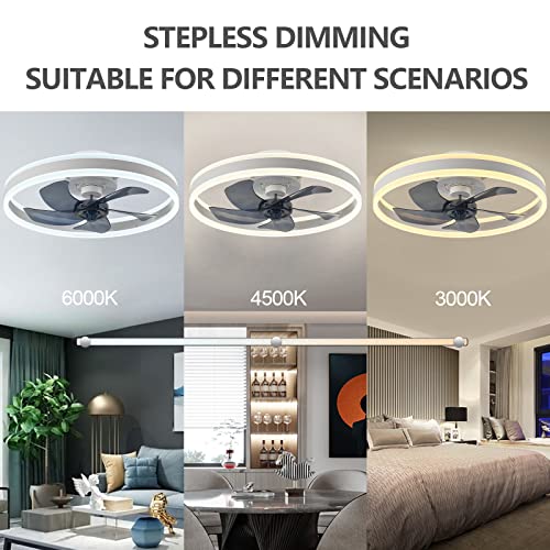 AHAWILL Modern Ceiling Fan with Light,Mute LED Dimmable Ceiling Fans with Remote Control,6 Speeds Reversible 60W Contemporary Ceiling Fan for Bedroom,Study Room,Dining Room,etc.(19.7" White)