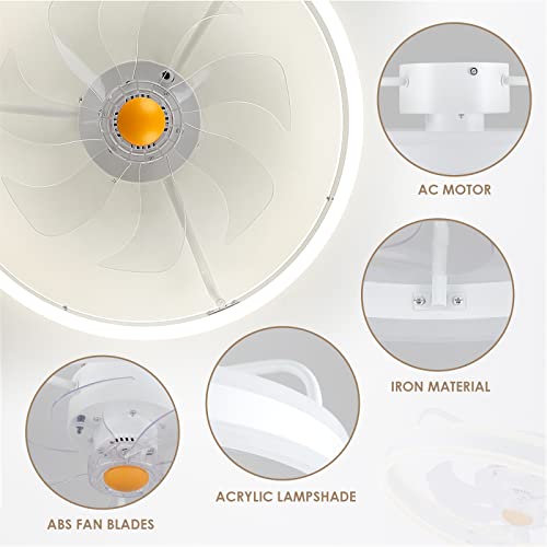 Ceiling Fans with Lights Low Profile - Flush Mount Modern Ceiling Fans with Lights Remote - 20” Asyko Bladeless Enclosed Ceiling Fans, Small Smart Ceiling Fans for Bedroom, Living Room and Kitchen…