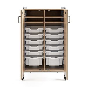 Safco Products 3934GRY Whiffle Typical 14, Double Column 12-Tote 4-Shelf Doored Rolling Storage Cart with Magnetic Dry-Erase Back, Gray, 48" H, Tall
