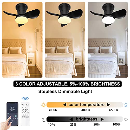 Ceiling Fan with Lights and Remote - 21'' Small Modern Ceiling Fan Remote & APP Control - Dimmable Metal Blades Flush Mount Quiet Mini Ceiling Fans Lights for Kitchen Dining Room Bedroom(Black)