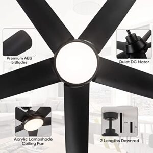 NWIASS Modern Farmhouse Ceiling Fans with Lights, 60" Black Outdoor Ceiling Fans for Patios, Low Profile Flush Mount Ceiling Fan with 5 Blades DC Motor for Indoor Bedroom Garage (60" Black-B)