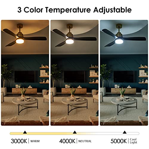 52" Outdoor Ceiling Fan with Light and Remote, Black Gold Ceiling Fan Light with Quiet DC Motor and 3 Solid Blades Noiseless Reversible Fan for Bedroom, Patio, 6-Speed Timer