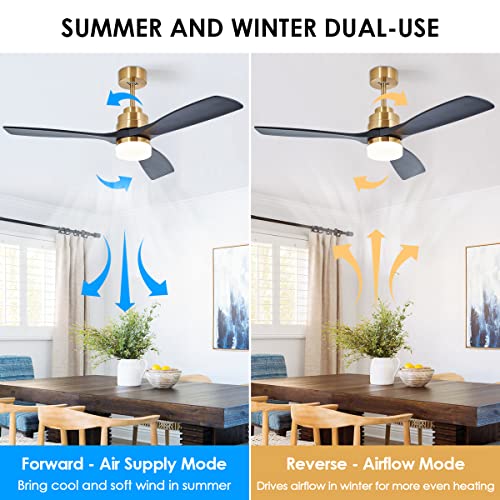 52" Outdoor Ceiling Fan with Light and Remote, Black Gold Ceiling Fan Light with Quiet DC Motor and 3 Solid Blades Noiseless Reversible Fan for Bedroom, Patio, 6-Speed Timer