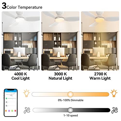 Arterki Low Profile Flush Mount Ceiling Fan, 45" Modern White Ceiling Fan With Dimmable Lights and 10-speed DC Motor, Smart Ceiling fan With Remote, Work with Alexa, Siri, Google Home & Smart APP