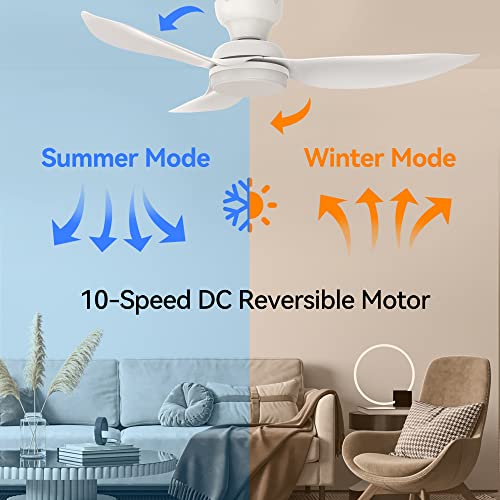 Arterki Low Profile Flush Mount Ceiling Fan, 45" Modern White Ceiling Fan With Dimmable Lights and 10-speed DC Motor, Smart Ceiling fan With Remote, Work with Alexa, Siri, Google Home & Smart APP