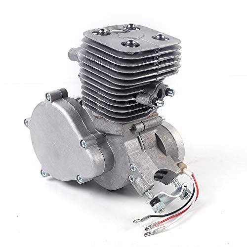 Reconveri 100CC Bike Engine Kit Gas Powered Bike 2 Stroke Motorized Bicycle Engine Motor Complete Kit CDI Air-Cooled 48km/h for 26 Inch/28 Inch Bikes