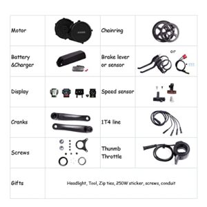 DERUIZ 750W BBS02 Mid-Drive Motor Conversion Kit for Ebike DIY with Accessories with Alternative Displays Equipped with 48V and 52V Batteries for Most Standard Bikes