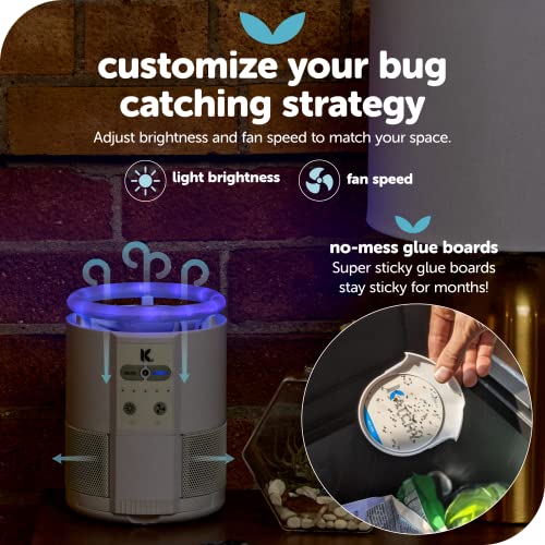 Katchy Duo 2 in 1 Indoor Fruit Fly Trap, Mosquito Killer, and Gnat & Bug Catcher with UV Light Fan and Sticky Traps for Bugs