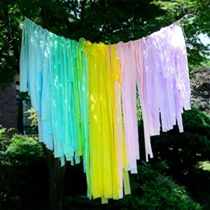 melody fantasy ice cream party 200pcs plastic strips streamer backdrop pastel streamer fringe curtain rainbow backdrop streamers for girls birthday candyland party background pastel party decorations