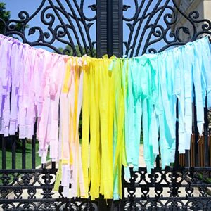 Melody Fantasy Ice Cream Party 200pcs Plastic Strips Streamer Backdrop Pastel Streamer Fringe Curtain Rainbow Backdrop Streamers for Girls Birthday Candyland Party Background Pastel Party Decorations