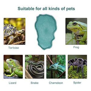 MINYULUA Reptile Food Dish Terrarium Water Bowl Large Food Feeding Bowl for Turtle Tortoise Snake Lizard Gecko Ball Python Reptile Amphibian, Blue