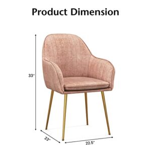 Giantex Modern Dining Chairs Set of 2 - Upholstered Arm Dining Chair with Steel Legs, Thick Sponge Seat, Non-Slipping Pads, Modern Leisure Chair for Dining Room, Living Room, Bedroom, Pink