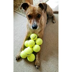 12 Pcs Squeaky Tennis Balls for Dogs - 2.58" Interactive Doggy Toys - Safe, Durable for Small Medium Large Dogs Training Playing, with 1 Reusable Carry Bag