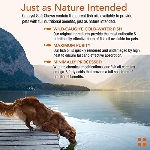 Animal Pharmaceuticals Catalyst+ Omega 3 Fish Oil for Dogs & Cats - Allergy & Shedding Supplement - Dog Dry Skin and Coat Support - Low-Allergen Cheese Flavor Soft Chews - 60 ct