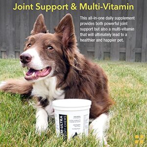 Animal Pharmaceuticals ZM-Ultra Complete Joint Support Soft Chews - Glucosamine Chondroitin for Dogs & Cats - Hip and Joint Health & Mobility Support Supplement - 60 ct