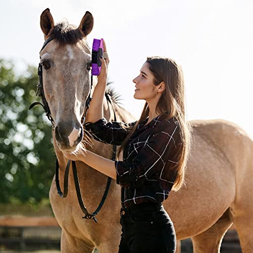 7-Piece Horse Grooming Kit with Organizer Tote Bag, Tack Room Supplies Set with Assorted Hair and Curry Brushes, Hoof Pick, and Sweat Scraper, Great Groomer Gift, Horse Riders, Beginner, Advanced, Purple OR Blue Avail