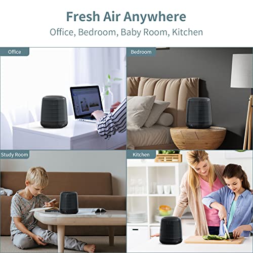 Air Purifiers for Bedroom, AIRFEEL Desktop Air Purifier for Home, Portable Ionizer Air purifier with H13 True HEPA Filter (F005)