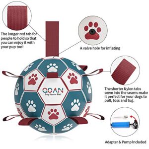 QDAN Dog Toys Soccer Ball, Interactive Dog Toys for Tug of War, Puppy Birthday Gifts,Dog Tug Toy, Dog Water Toy, Durable Dog Balls for Small & Medium Dogs-Blue&Red(6 inch)